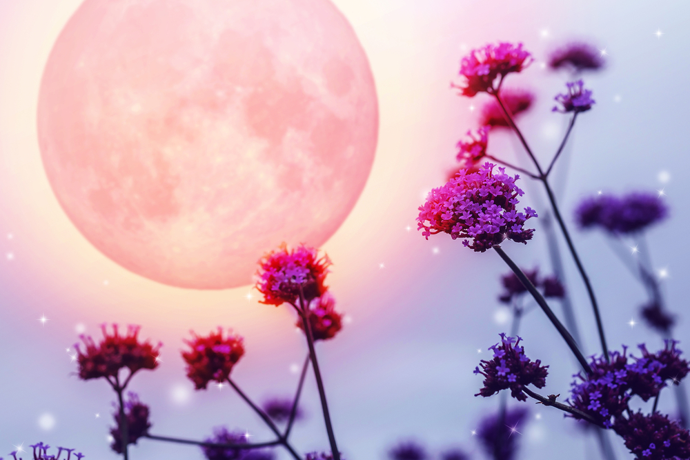 Volle maan in Schorpioen (12 mei 2025): het is tijd voor verandering & oude paden achterlaten