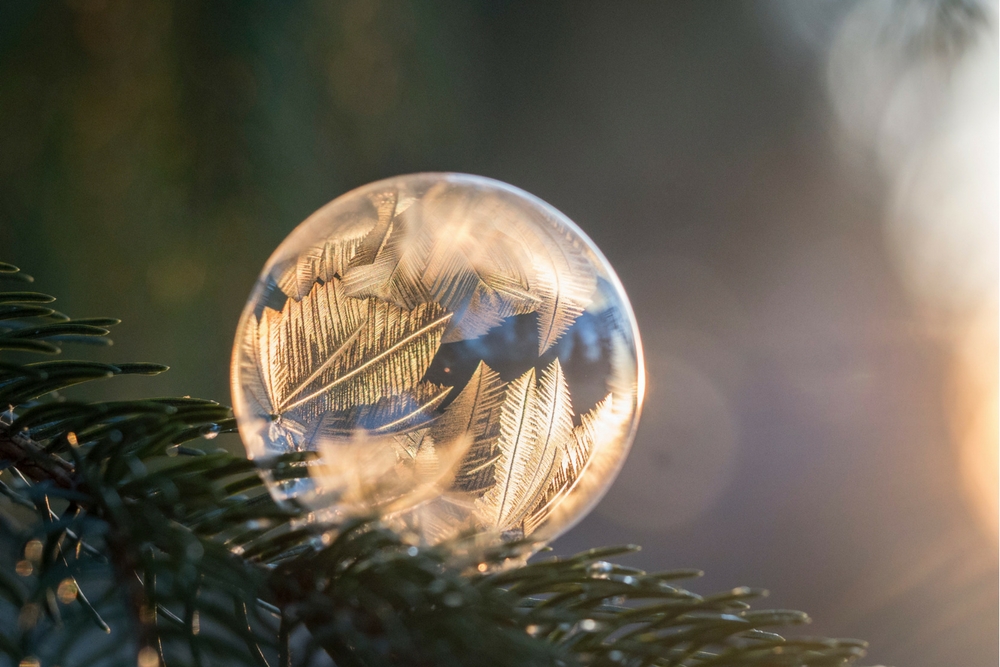 Wat betekent de winter fysiek, geestelijk en spiritueel voor ons?