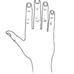 De vierkante hand
