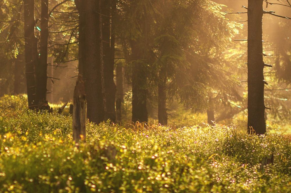 Spiritualiteit en herstellen van narcistisch misbruik