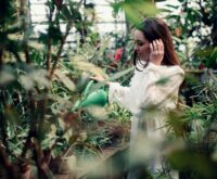 Plantenmagie: welke plant past bij jou?