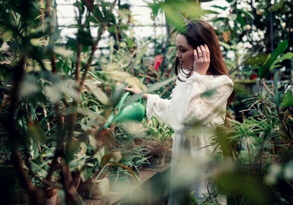 Plantenmagie: haal de natuur in huis en ontdek welke plant bij jou past