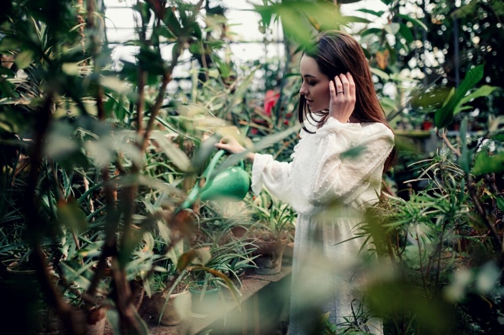 Plantenmagie: haal de natuur in huis en ontdek welke plant bij jou past