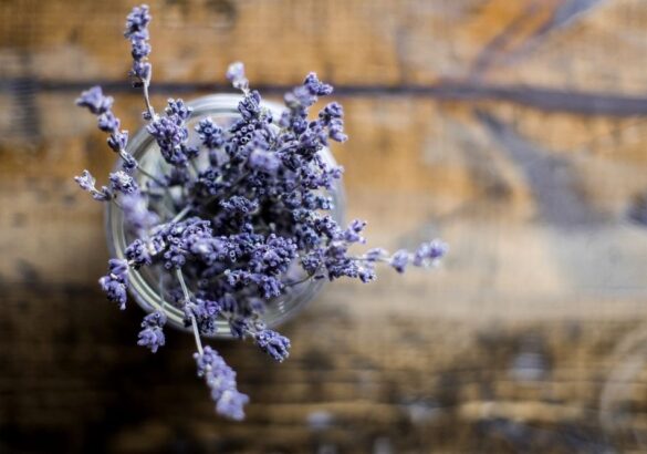 De geneeskracht van lavendel: kalmerend, anti-stress, weerstandsverhogend en meer