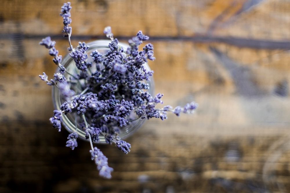 De geneeskracht van lavendel: kalmerend, anti-stress, weerstandsverhogend en meer