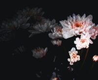 7 tekenen dat je emotioneel verwaarloosd bent als kind (en hoe het nu invloed op je heeft)