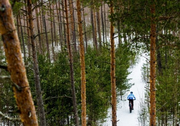 10 prachtige routes voor tijdens de winter