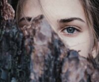 De magische kracht van bomen: dit is de spirituele betekenis van verschillende boomsoorten