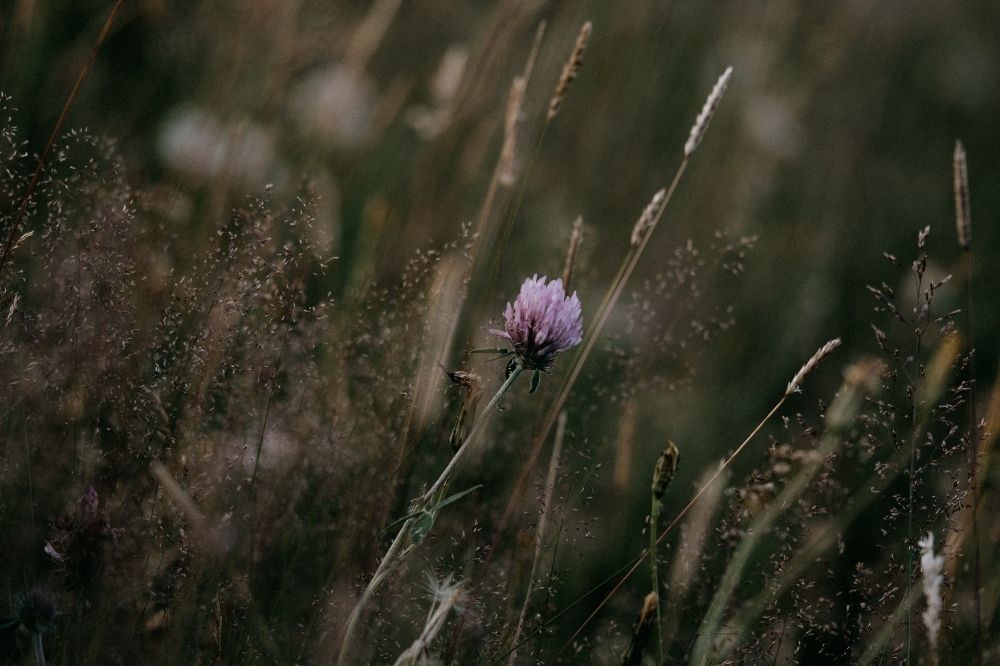 Het grote misverstand over rouw: waarom het verwerken van een verlies zo lang kan duren (of nooit helemaal klaar is)