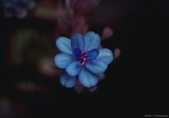 Aan deze drie narcistische verleidingskunsten herken je narcisme