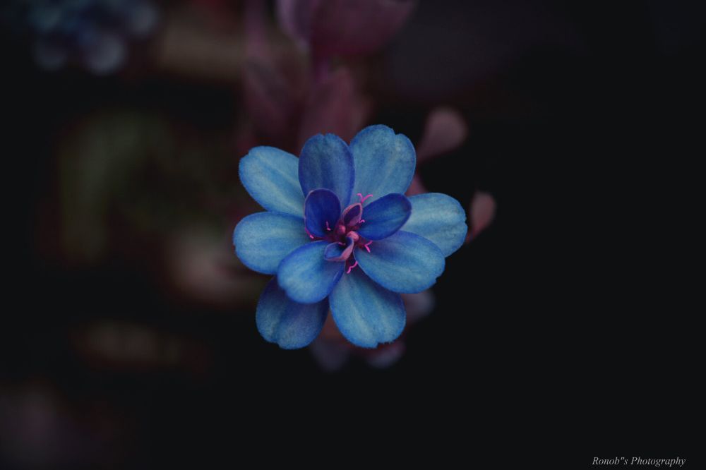 Aan deze drie narcistische verleidingskunsten herken je narcisme