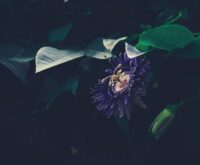 8 tekenen van emotionele verwaarlozing in een gezin