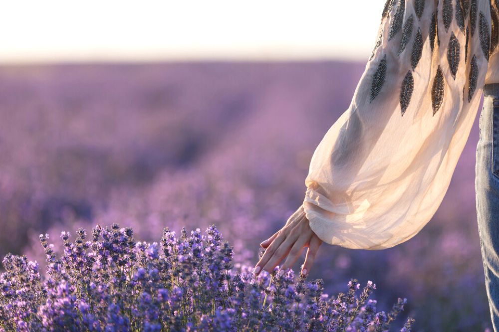 Zie je vaak dezelfde bloemen? Dit wil het Universum je vertellen