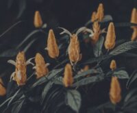 Emotionele verwaarlozing in je jeugd: zo kun je als volwassene veilig omgaan met je ouders