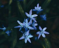 Moederwond: waarom een emotioneel afwezige moeder haar kind niet kon geven wat het nodig had