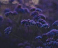 Emotionele verwaarlozing in je jeugd: dit zijn de 5 soorten