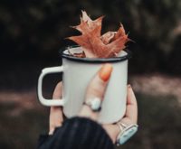 Herfst: deze 8 ingrediënten kun je drinken voor een optimale weerstand