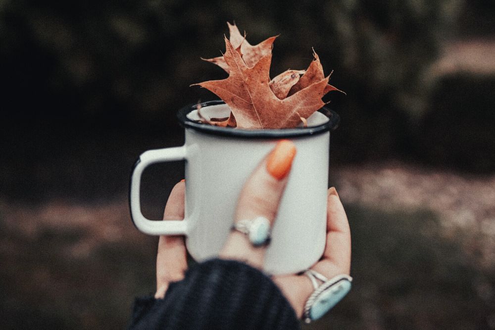 Herfst: deze 8 ingrediënten kun je drinken voor een optimale weerstand