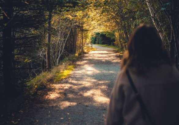 Lessen voor de ziel: zo creëer je een paradijs op aarde en vermijd je incarnatie-spijt