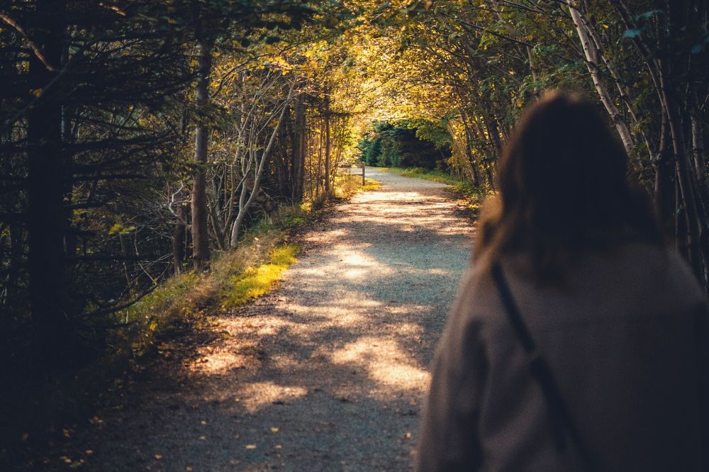 Lessen voor de ziel: zo creëer je een paradijs op aarde en vermijd je incarnatie-spijt