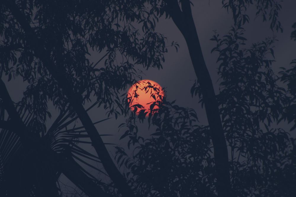 Astrologie: grote doorbraken in februari, maart en april (met dank aan 3 Engelenpoorten!)