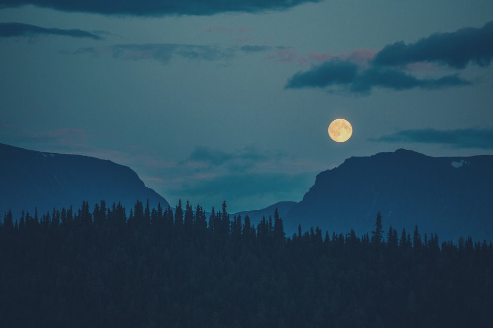 Volle maan in Leeuw 5 februari 2023: het is tijd om de leiding over je leven te nemen!