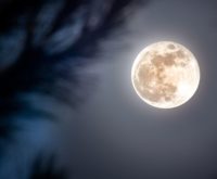 Weekhoroscoop 2 tot 9 augustus 2025: volle maan in Waterman