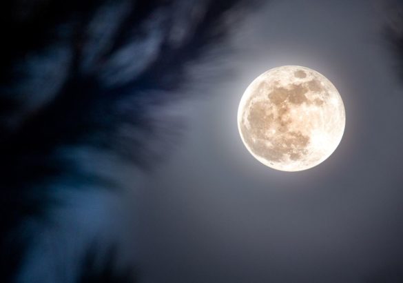 Volle maan in Maagd 24 februari 2024: dubbele getallen en helen van blokkades