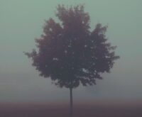 Familietrauma: dit zegt je plek in het gezin over jouw trauma-uiting