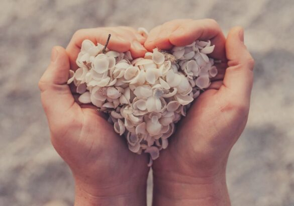 Valentijnsdag 14 februari 2023: een bijzondere dag, durf jij je hart te volgen?