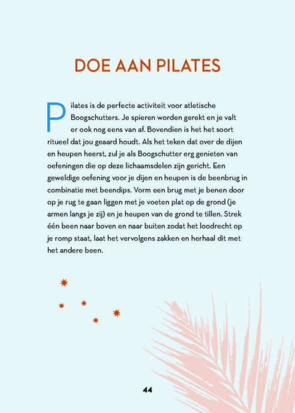 Het kleine e-boekje voor Boogschutter - Afbeelding 3