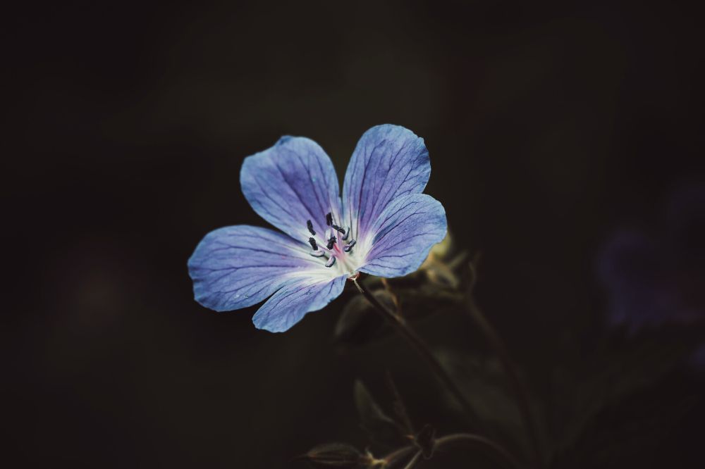 Psycholoog: narcistische tactieken raken jouw gewonde en eenzame innerlijke kind