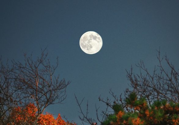 Weekhoroscoop 29 juli tot 5 augustus 2023: volle maan in Waterman