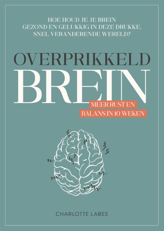 Overprikkeld brein