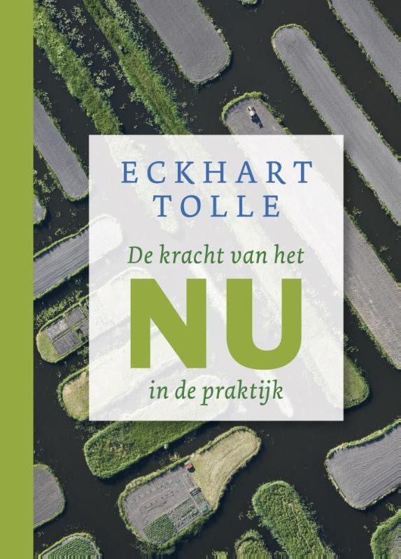 De kracht van het nu in de praktijk