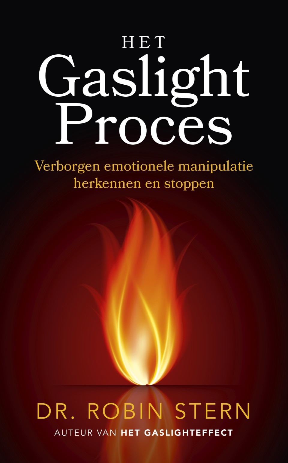 6. Verwacht: Het gaslightproces