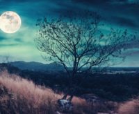 Volle maan in Ram (29 september 2023):  en belangrijke keuzes maken