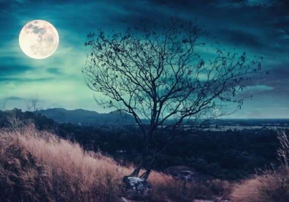 Volle maan in Ram (29 september 2023):  en belangrijke keuzes maken
