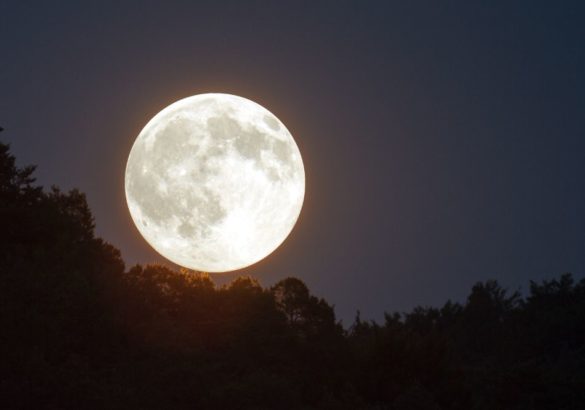 Volle maan 27 november 2023: dubbele getallen en toekomstplannen