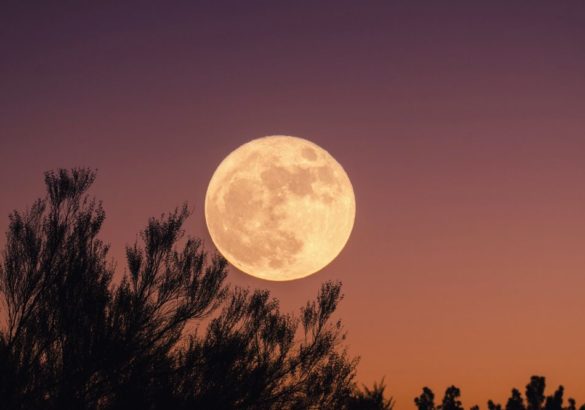 Weekhoroscoop 20 tot 27 januari 2024: volle maan in Leeuw