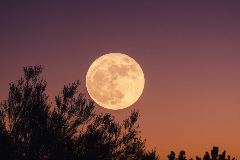 Weekhoroscoop 20 tot 27 januari 2024: volle maan in Leeuw
