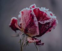 Opgroeien zonder emotionele veiligheid: dit zijn de effecten op je liefdesleven