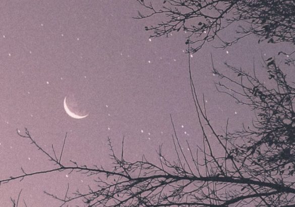 Nieuwe maan in Steenbok 11 januari 2024: een nieuw begin, dubbele getallen & toekomstplannen