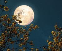 Volle maan in Weegschaal 25 maart 2024 (en maansverduistering): controle nemen over je eigen leven