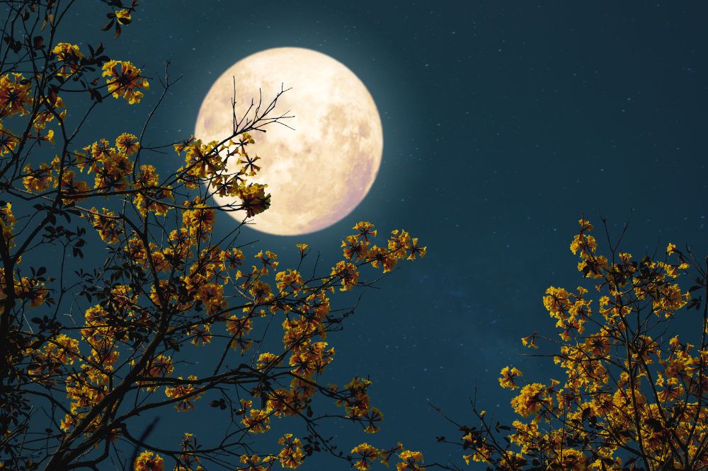 Volle maan in Weegschaal 25 maart 2024 (en maansverduistering): controle nemen over je eigen leven