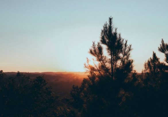 Komt het nog goed met de wereld? Wijsheid om roerige tijden door te komen