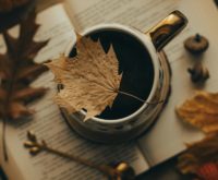 10 boekentips voor de herfst: een maand van transformatie en een nieuw begin