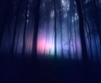 Oude, verborgen wijsheid geeft antwoord: wat is het Universum?