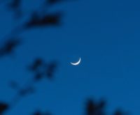 Weekhoroscoop 24 tot 31 mei 2025: nieuwe maan in Tweelingen
