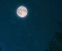 WEBINAR 12 mei met Annick Van Damme ‘De magie van de volle maan in Schorpioen’ – Ben jij erbij?